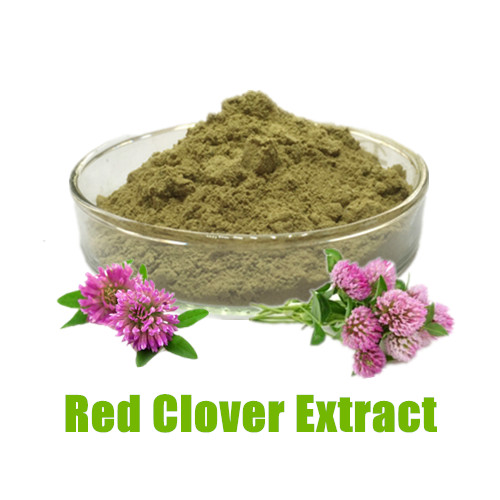 Red Clover Extract