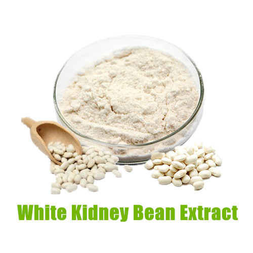 White Kidney Bean Extract