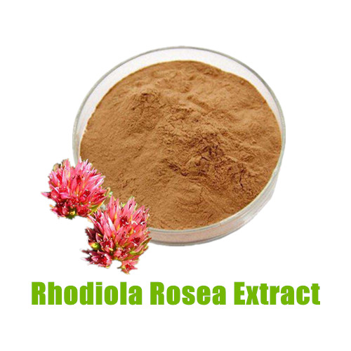 Rhodiola Rosea Extract